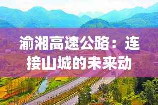 合作流程 第281页