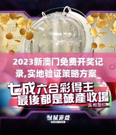 2023新澳门免费开奖记录,实地验证策略方案_经典版22.251