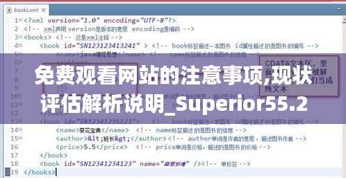 免费观看网站的注意事项,现状评估解析说明_Superior55.291