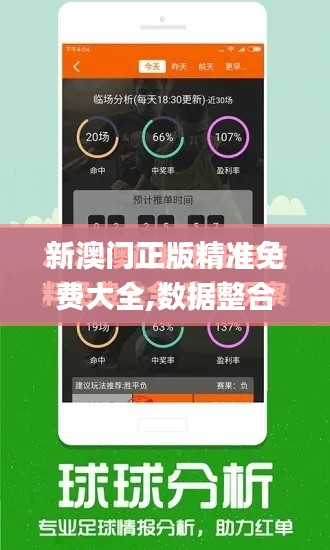 新澳门正版精准免费大全,数据整合设计执行_3D76.286