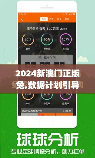 2024新澳门正版兔,数据计划引导执行_专业款8.648