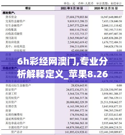 6h彩经网澳门,专业分析解释定义_苹果8.260