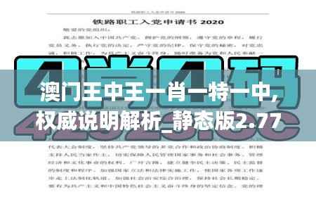 澳门王中王一肖一特一中,权威说明解析_静态版2.773