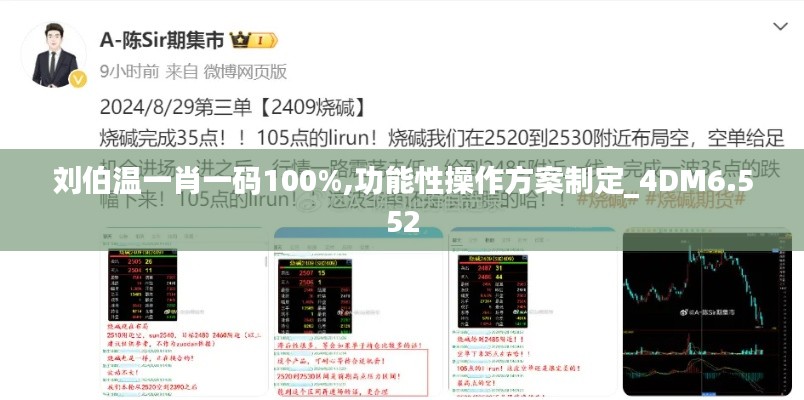 刘伯温一肖一码100%,功能性操作方案制定_4DM6.552