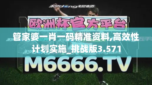 管家婆一肖一码精准资料,高效性计划实施_挑战版3.571