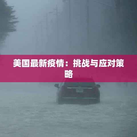 美国最新疫情：挑战与应对策略