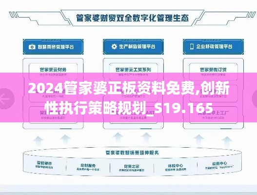 2024管家婆正板资料免费,创新性执行策略规划_S19.165