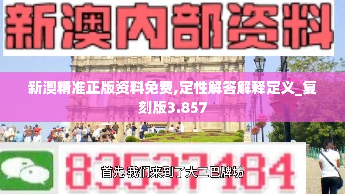 新澳精准正版资料免费,定性解答解释定义_复刻版3.857