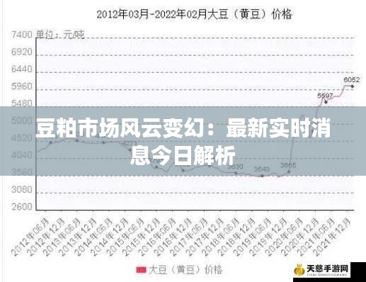 豆粕市场风云变幻：最新实时消息今日解析