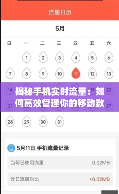 揭秘手机实时流量：如何高效管理你的移动数据