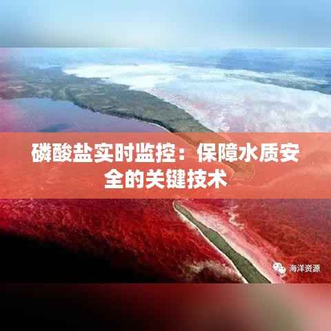 磷酸盐实时监控：保障水质安全的关键技术