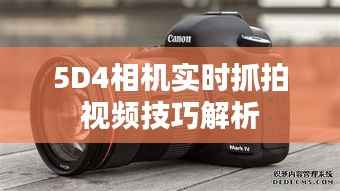 两袖清风 第3页