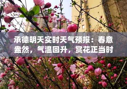 承德明天实时天气预报：春意盎然，气温回升，赏花正当时