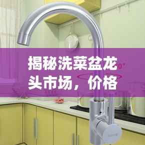 揭秘洗菜盆龙头市场，价格走势解析与满意产品选购指南