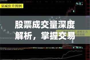 股票成交量深度解析，掌握交易策略的关键技巧