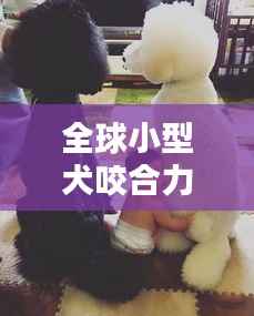 独学寡闻 第3页