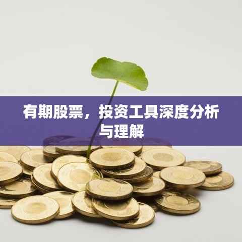 夯雀儿先飞 第2页