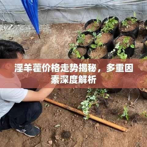贵农贱商