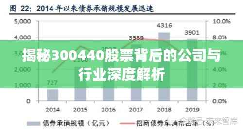 揭秘300440股票背后的公司与行业深度解析
