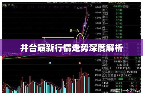 井台最新行情走势深度解析