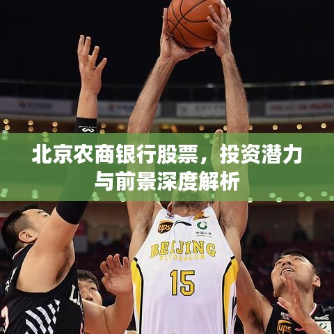 淡泊以明志，宁静以致远