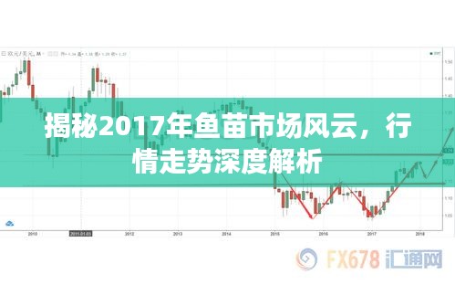 小鸟伊人