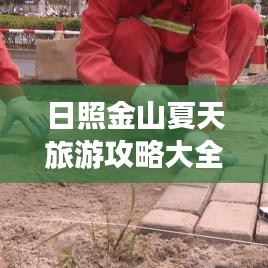 删华就素