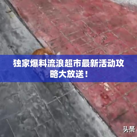 奔走如飞