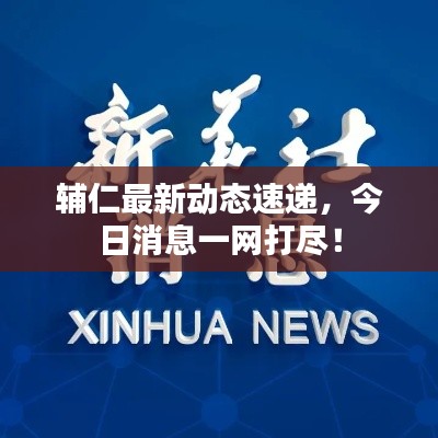 辅仁最新动态速递，今日消息一网打尽！