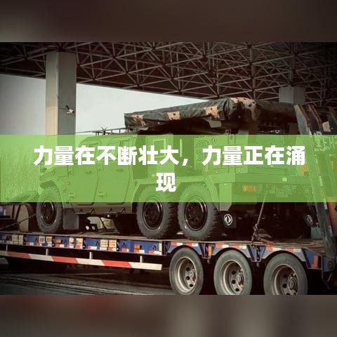 百鸟齐鸣 第2页