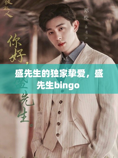 盛先生的独家挚爱,盛先生bingo